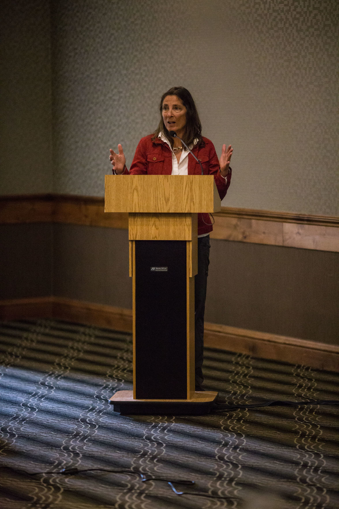 Yellowstone Ecosystem Subcommittee of the Interagency Grizzly Bear Committee Spring Meeting